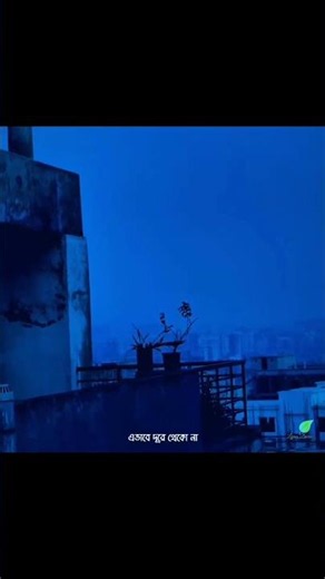 Jodi Hatta Dhoro | Bristy | #short #shortvideo #song #music #lyricsdiaries #subscribe