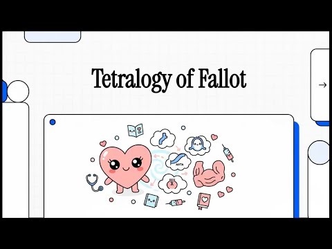 Tetralogy of Fallot (TOF) | Causes, Pathophysiology, Symptoms & Treatment