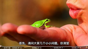 一网打尽车载以太网之SOME/IP(下)