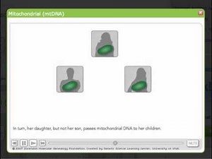 mtDNA Tutorial