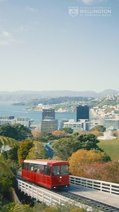 Create and explore in the heart of the capital. Study in Wellington, where living and learning are one. Apply now. | Te Herenga Waka—Victoria University of Wellington