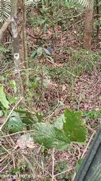 28 de fevereiro de 2026