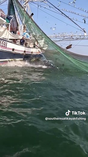 Southern Salt Kayak on TikTok