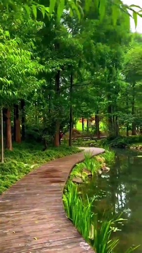 #foryou #scenery #beautiful