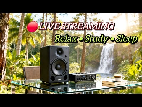 Evening Smooth Jazz Live Session | Modern Jazz Performance