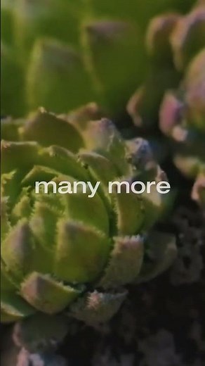 "432 number appears on Earth REPEATEDLY"