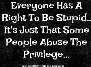 😅 😂 | Itty Bitty Kitty Committee Cat Rescue