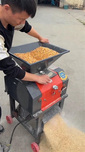 Corn Crusher Machine for Poultry & Cattle Feed Maize Grinder Demo #corncrusher #farmequipment #viral
