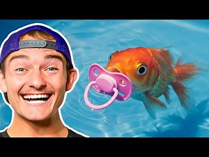 1 in a Million Chance… and It Happened!