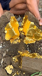 780K views · 4K reactions | Super natural gold,,found in the ground, worth billions #golddiscovery #findinggold #goldmining | Wit Discovery | Facebook