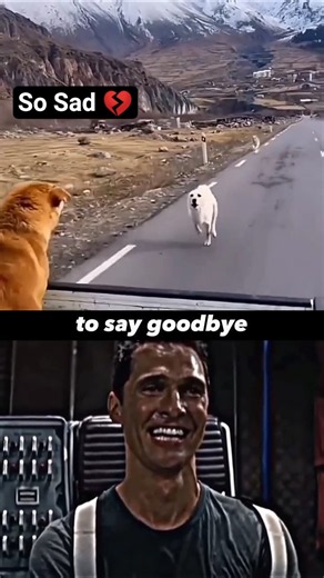 Dog_Sad_Moments__SAD_GOODBYE__❤️‍🩹 #emostional