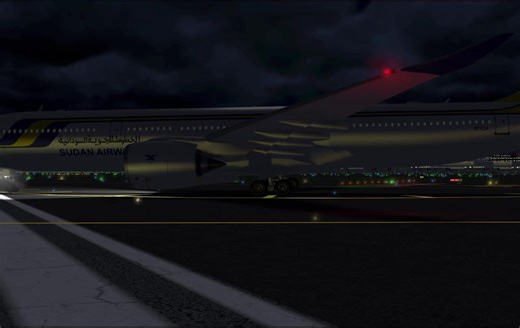 #aviation #airlines #fyp #pilot #rfs