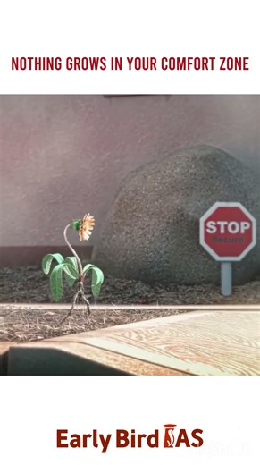 NOTHING GROWS IN YOUR COMFORT ZONE | #earlybirdias