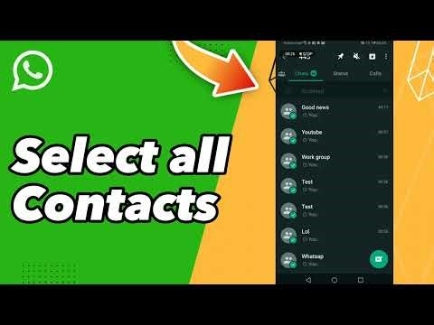 How to Select all Contacts on WhatsApp