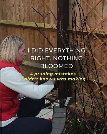 Olga | UK Gardening for Beginners | Save this post for pruning day. You don’t need to be an expert to have a beautiful garden. I started with zero knowledge and made every... | Instagram