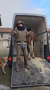 42K views · 1.1K reactions | Yankee Ranch on Reels | Facebook