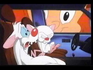 1999 Pinky, Elmyra and the Brain - YTV - TV Commercial