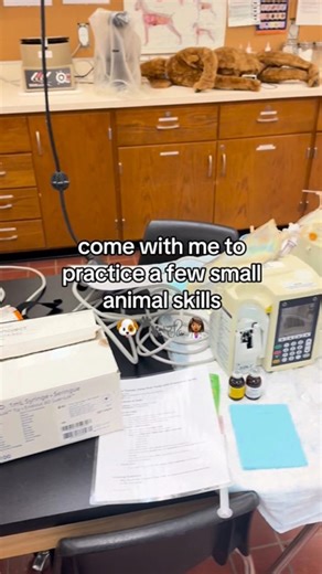 Hands-on learning in action! 🐾 Our 2nd-year DVM students are building essential small animal clinical skills, such as collecting blood samples from the jugular vein and performing skin scrapings for diagnostic testing. These early experiences help prepare our students to deliver accurate, compassionate veterinary care in the years ahead. 💉🩺 #PurdueVetMed #PurdueUniversity #VeterinaryMedicine #FutureVeterinarian #BoilerUp #VetMedEducation Purdue University SAVMA IVMA: Indiana Veterinary Medica