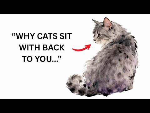 Why Your Cat Sits With Its Back Toward You – The Meaning Is Unexpected
