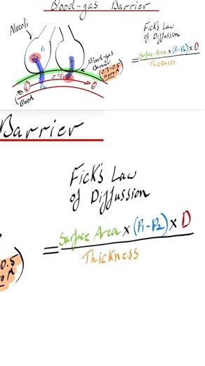 Fick’s law of diffusion