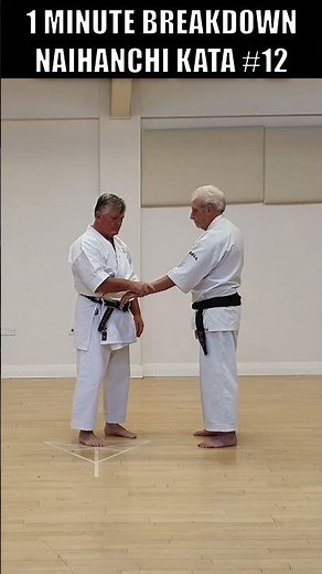 Naihanchi Internal Power Test - 1 minute kata #shorts #wado