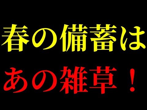 スーパーから野菜が消えても生き残れる『備蓄』。春の不調を消し去る究極の解毒ハーブ