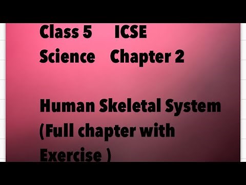 Chapter 2, Human Skeletal System, Science, class5