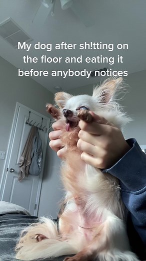 He doesn’t really do it anymore but I still can’t forgive him