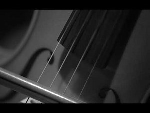 The Bow on the string. Bowed violin string in slow motion A open string