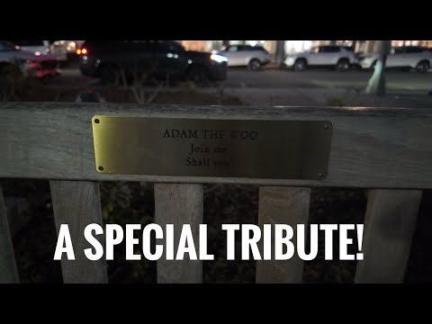 Visiting the Adam the Woo Bench: Emotional Tribute & Celebration Town Hall Updates