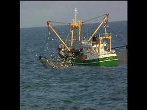 Abgefischt Hochseefischer im Atlantik 2