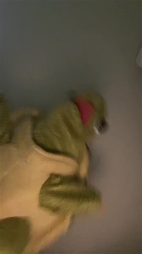 mm #turtle #puppet #funny #thirsttrap #hotgirl