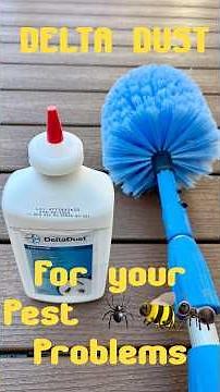 Delta Dust for Pest Control #spiders #yellowjackets #bugs