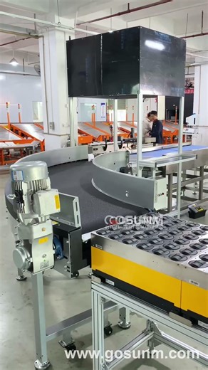 Sorting Machine Testing in Factory #sortingmachine #ecommerce #3pl #factory #gosunm