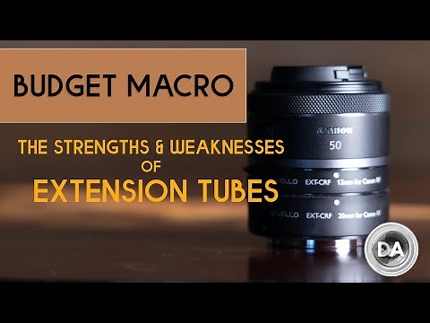 Cheap Macro? The Pros and Cons of Extension Tubes