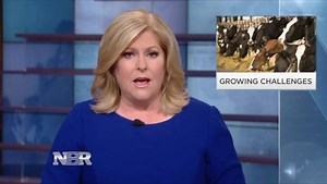 CNBC - Nightly Business Report