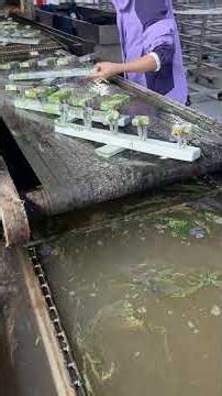 Hardware water transfer printing process for metal curved surfaces and irregular parts