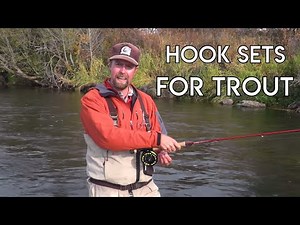 Various Hook Sets for Trout - Dry Fly, Nymph & Streamer