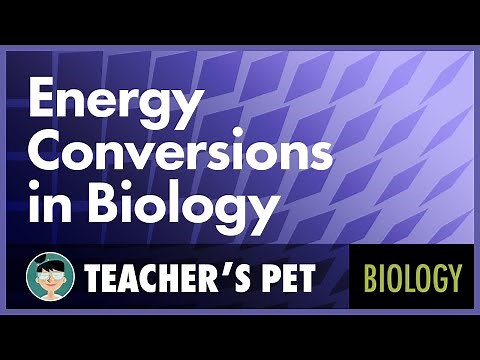 Energy Conversions in Biology