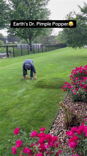 Satisfying Moments with Pubity and Dr. Pimple Popper