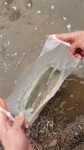 Tricks for finding objects in a murky river #shorts