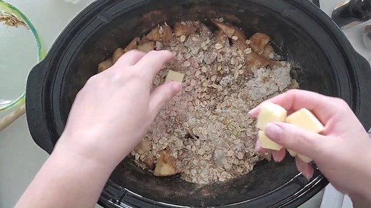 30K views · 326 reactions | The perfect Fall comfort food...Crockpot Apple Cinnamon Oatmeal Recipe! https://www.tammileetips.com/crock-pot-apple-oatmeal-recipe/ | Tammilee Tips | Facebook