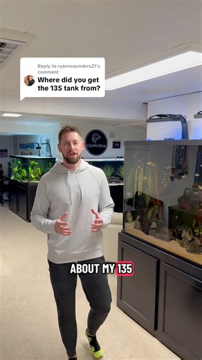 Overview of the 135 gallon aquariums | Cichlid Bros