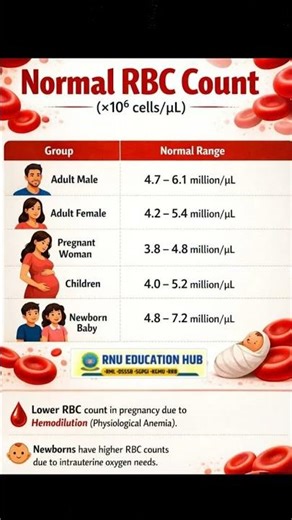 Normal RBC Count