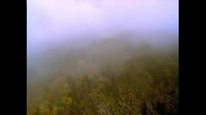 Experience Shenandoah - Shenandoah National Park (U.S. National Park Service)