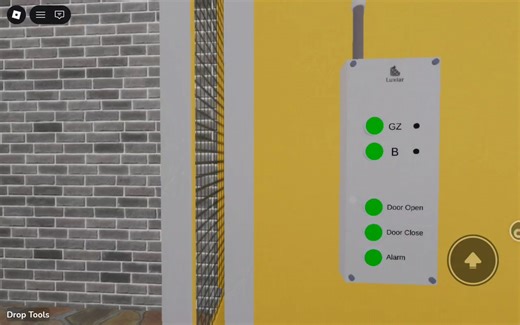 某地的Luxiar工程电梯