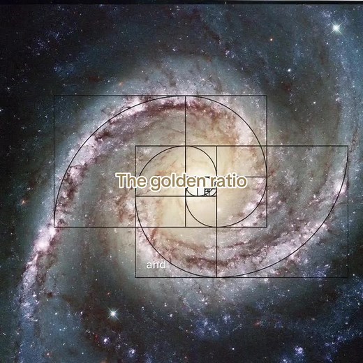 The golden ratio 🐚🌹🌱 #thegoldenratio #fibonacci #space #universe #astronomy