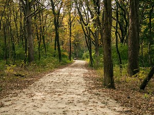 Oct. 30 Training Exercise At Blackwell Limit Access