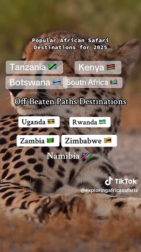 Sail Adventure Safaris DMC on TikTok