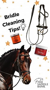 How to take your bridle apart, clean it, condition it, and put it back together with Lauren from The Saddle Bank! | The Saddle Bank